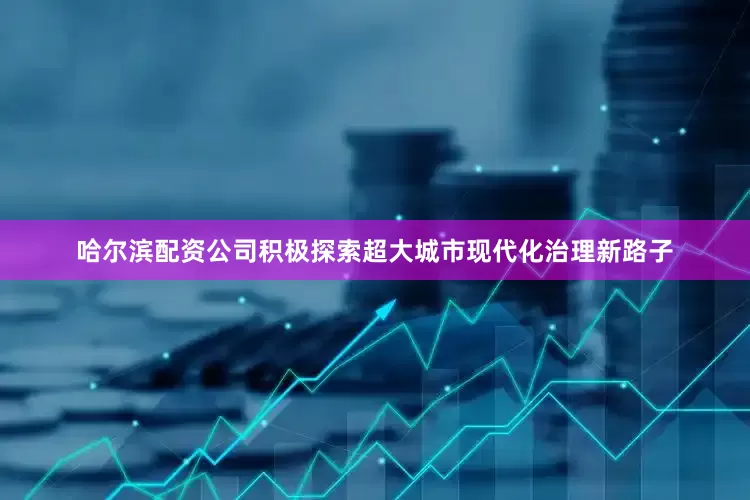 哈尔滨配资公司积极探索超大城市现代化治理新路子